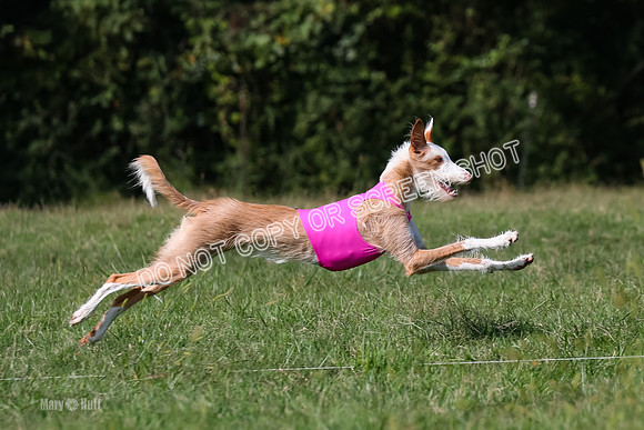 Open Prelim A2, Madyson, Razz-7648