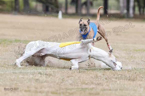 Finals Open 2 Cheese PeteySue Treble-3967