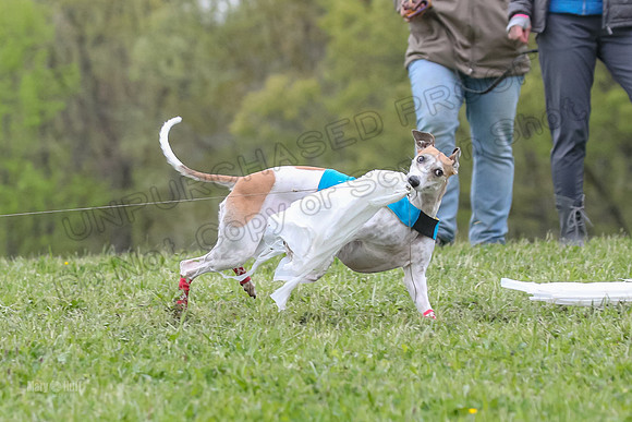 Finals Vets 4, Parker Marley Brag-2411