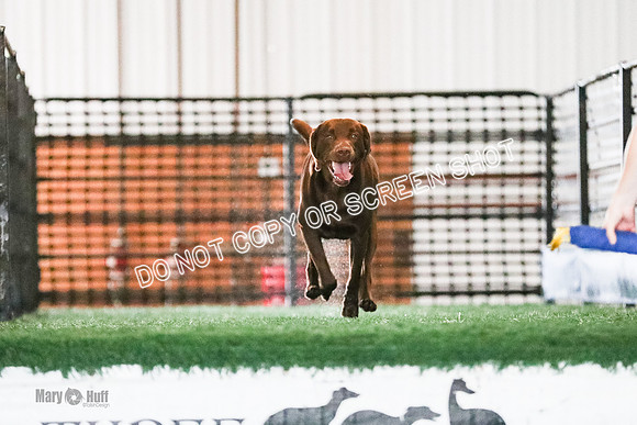 AE4I1754