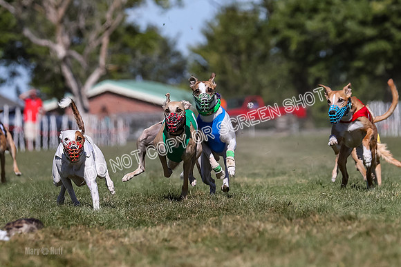 Prg 4, Race 7, Seavey Gnocchi Lilly Zeus Griffey Sparks-0269