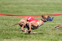 AE4I6202-3