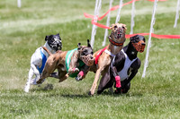 Prg 4, Race 8, Mauser, Cash, Biggie, Maxx