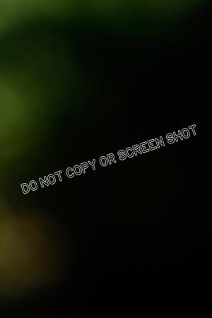 _E4I6959