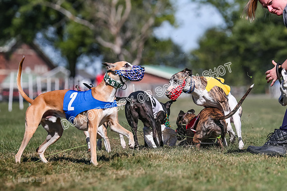 Prg 4, Race 1, Ruffian Flynn Nami Rigby Arrow Echo-0069