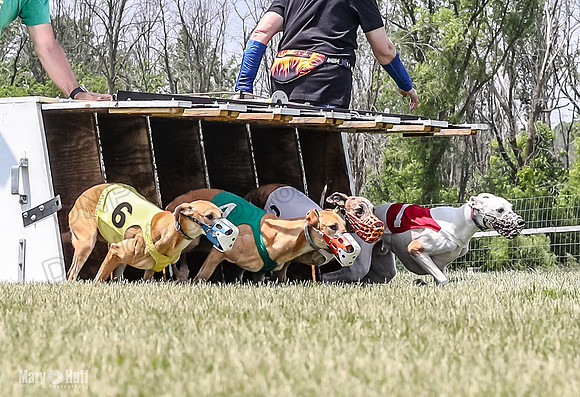 AE4I1269