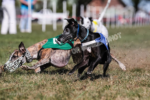 Prg 4, Race 2, Red Tipa Watson Sprig Carney-0103