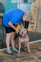 3H-BH-0810-Senior-3729