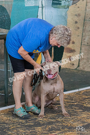 3H-BH-0810-Senior-3729