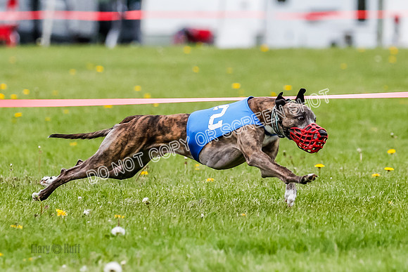 NOTRA Program 2, Race 4, Rum Moki Clyps-2-4