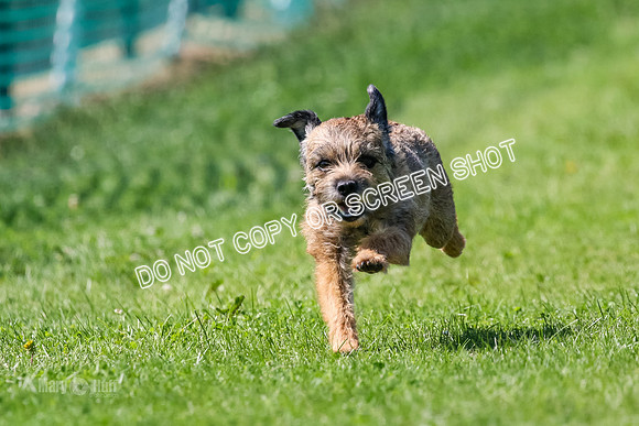 MCH70275-2