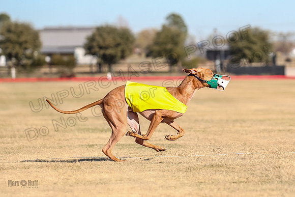 1Prelims Spec 2 Tango Cuest-0884