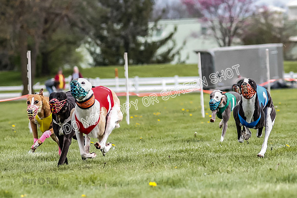 WRA, Prg 1, Race 10, Jamie Pico Nami Elia CC Savvy-8417