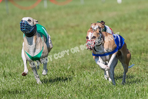 AE4I8989