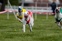 WRA, Prg 1, Race 2, Dash, Reas Mika Buzzsaw Moonstruck Elvis-8258