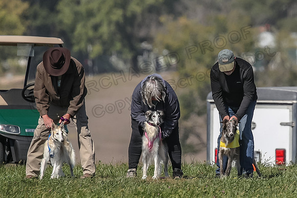 2 Finals Fch 1 Foxy Kelso Lizzie-8296