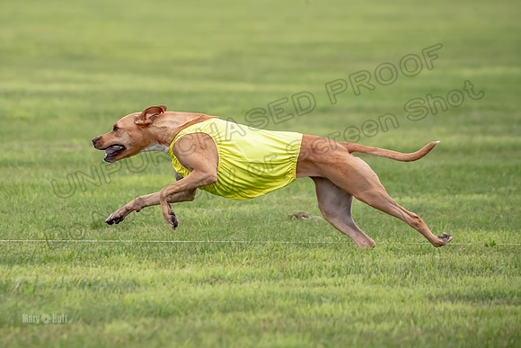Prelims Zara-0816