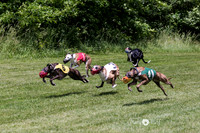 CU-Race IL, May 28-29, 2016