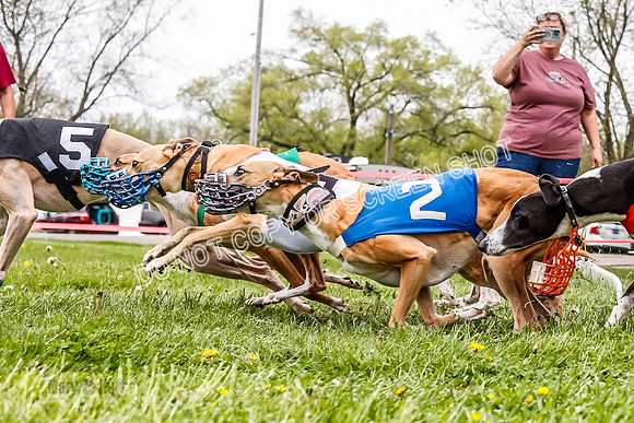 WRA, Prg 3, Race 8, Pico Sandy Hornet Tsunami Fenrir Buttercup-9218