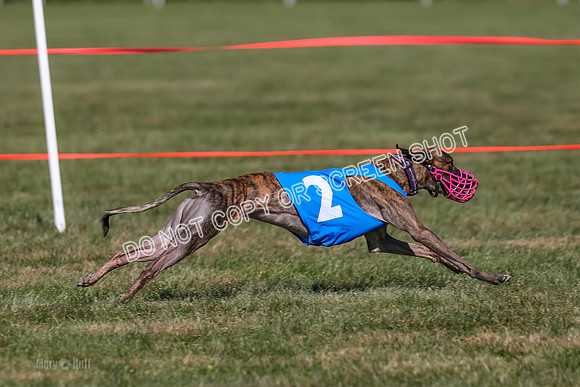 Prg 4, Race 5, Steve Tata Micky Barley-2602
