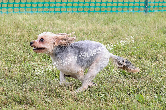 AE4I4039