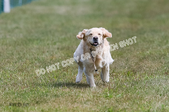 AE4I1939