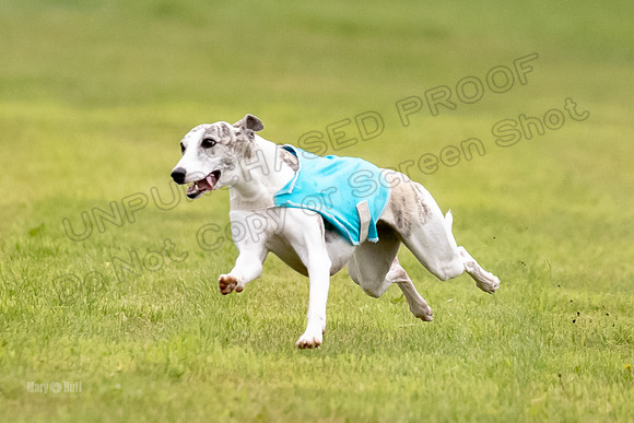 Prelims Misty-0636