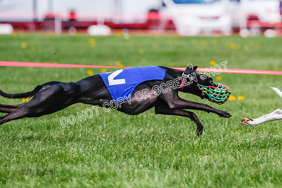 NOTRA Program 2, Race 8, Stoke Nami Nika Eddie-2-17