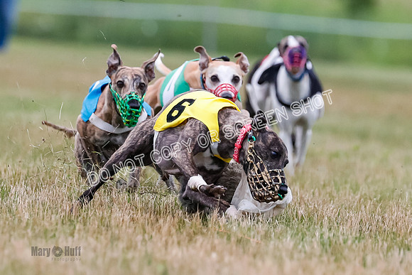 Prg 3, Race 5, Sid-Alex-Zed-Fama-Talim-1179