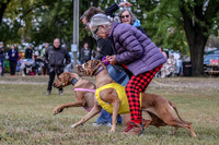1 Prelims Open Kinky Rein-0216