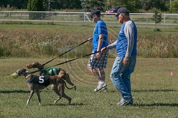 LJE-0786