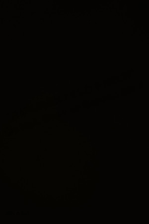 AE4I4985