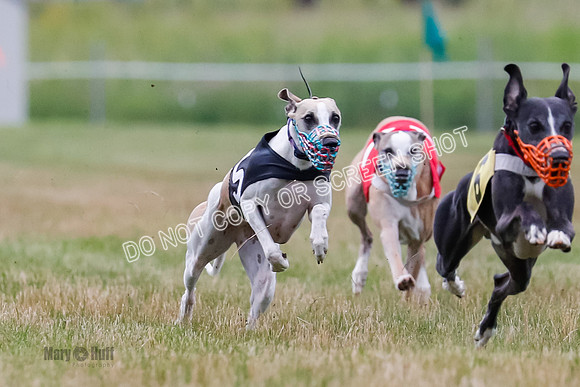 Prg 3, Race 4, Rowan-Jett-Blaze-Shimmy-Bogie-1131