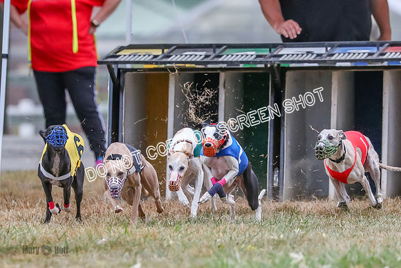 AE4I5025 Smerek, Storm, Zippy, Rasta, Dren