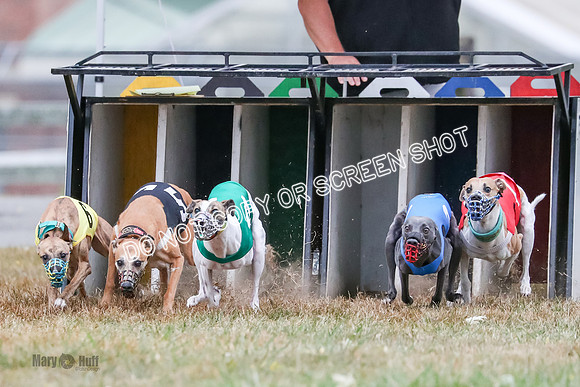 AE4I5051 Spock, Gibbs, Stone, Ninja, Dusty