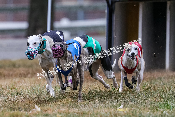 AE4I4990 Needle, Mushu, Wonder, Rigby, Tuff