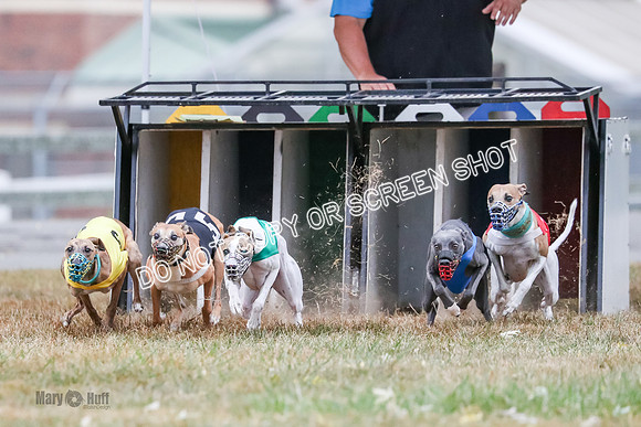 AE4I5052 Spock, Gibbs, Stone, Ninja, Dusty