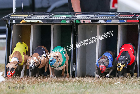 AE4I5095 Beacon, Moki, Seavey, Torrie, Torque