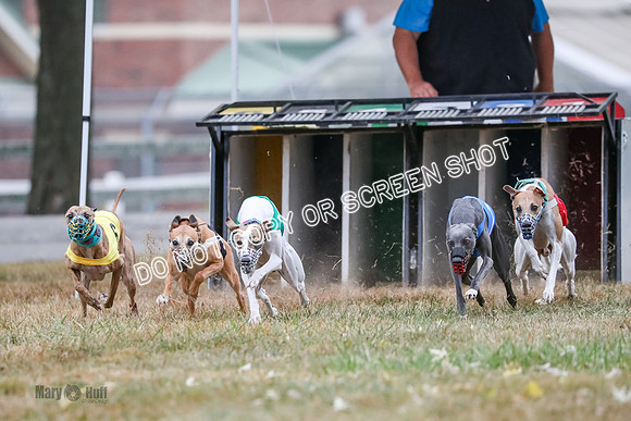 AE4I5056 Spock, Gibbs, Stone, Ninja, Dusty
