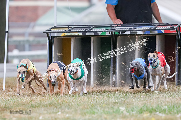 AE4I5054 Spock, Gibbs, Stone, Ninja, Dusty