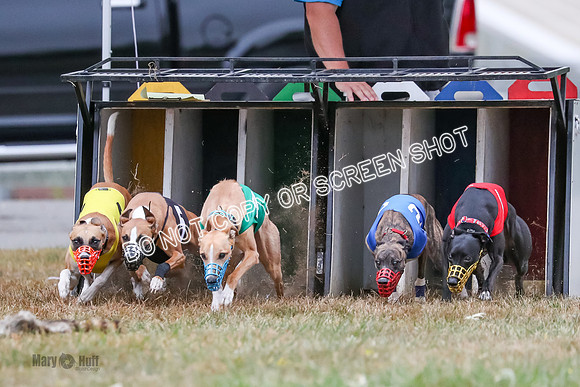 AE4I5097 Beacon, Moki, Seavey, Torrie, Torque