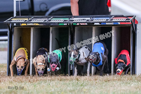AE4I5116 Raven Star, Bull, Clyps, Power, Cheetah, Reddi