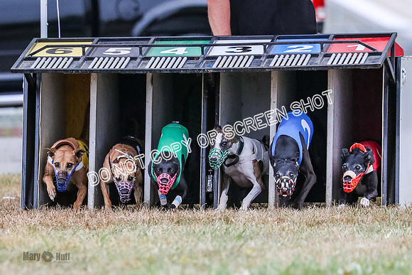 AE4I5115 Raven Star, Bull, Clyps, Power, Cheetah, Reddi