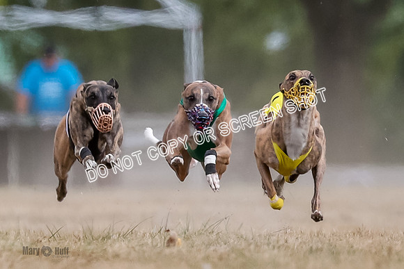 AE4I5610-2 Riggs, Joplin, Swift, Gronk, Maxx, Thunder