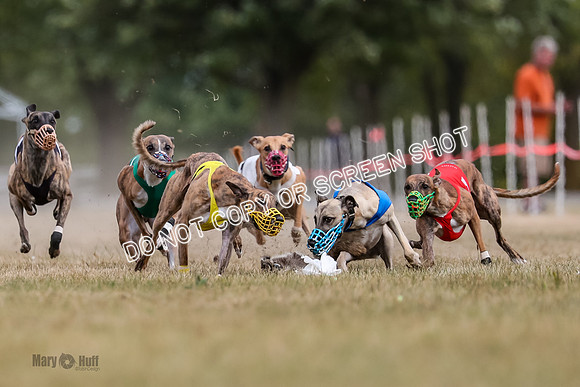 AE4I5623 Riggs, Joplin, Swift, Gronk, Maxx, Thunder