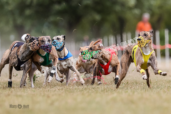 AE4I5626 Riggs, Joplin, Swift, Gronk, Maxx, Thunder