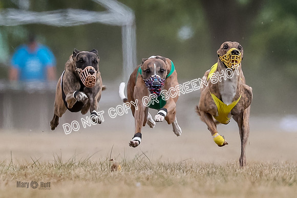 AE4I5614-2 Riggs, Joplin, Swift, Gronk, Maxx, Thunder