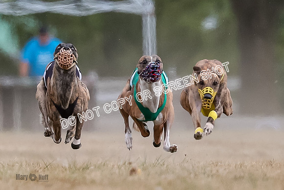 AE4I5608-2 Riggs, Joplin, Swift, Gronk, Maxx, Thunder