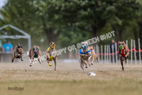AE4I5614 Riggs, Joplin, Swift, Gronk, Maxx, Thunder