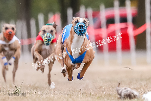 AE4I5417 Dusty, Torrie, Press, Smerek, Rivet, Shelby